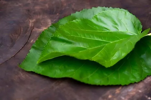 p2024082716373649f191 p2024082716373649f191