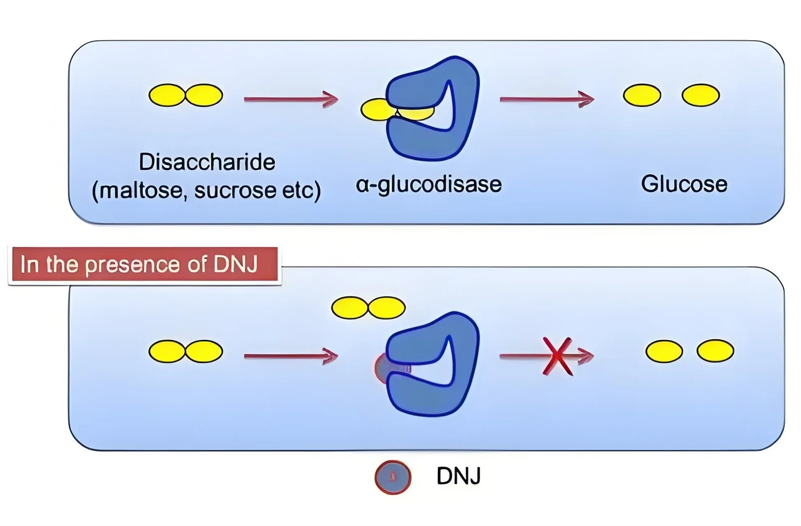 18e19f7b-41fb-437e-8467-8c8174efec03 18e19f7b-41fb-437e-8467-8c8174efec03